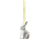 Hare sitting