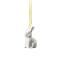 Hare sitting