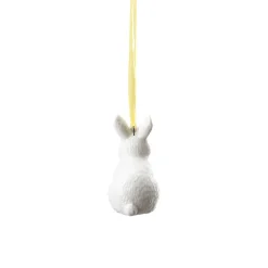 Hare sitting