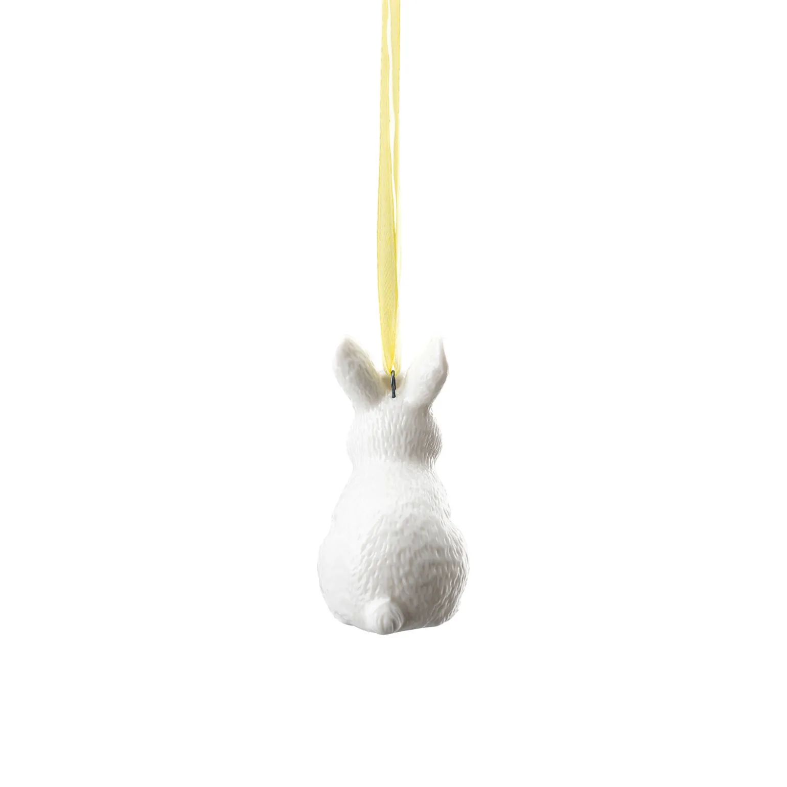 Hare sitting