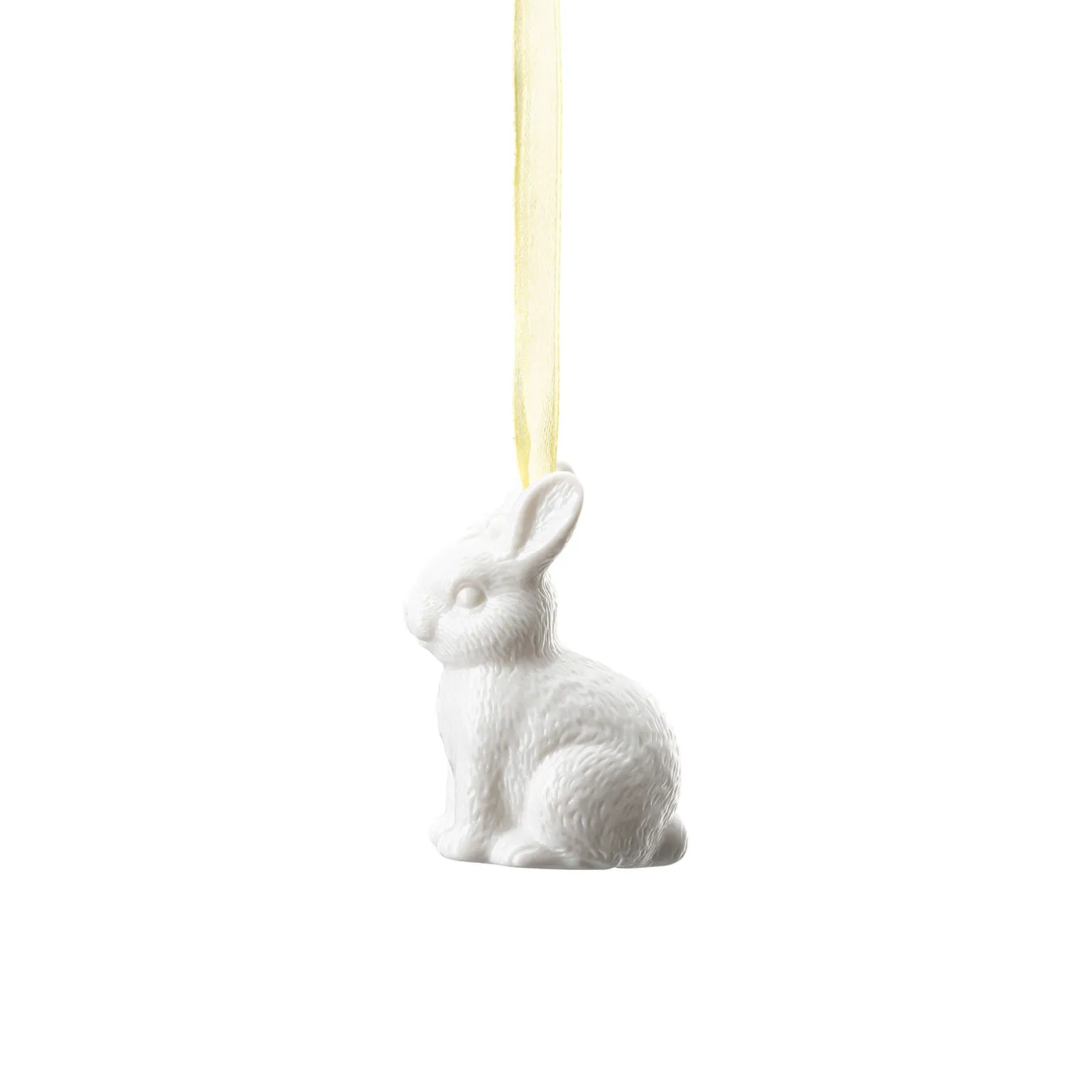Hare sitting