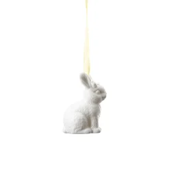 Hare sitting