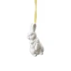 Hare standing