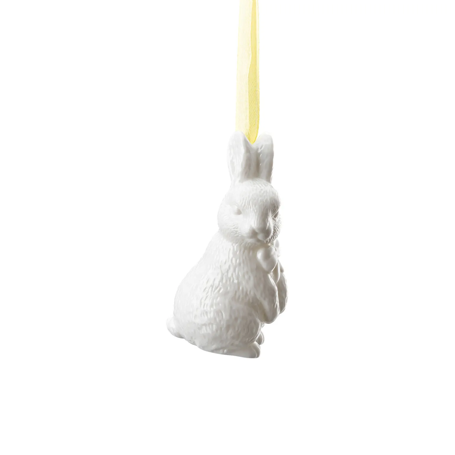 Hare standing