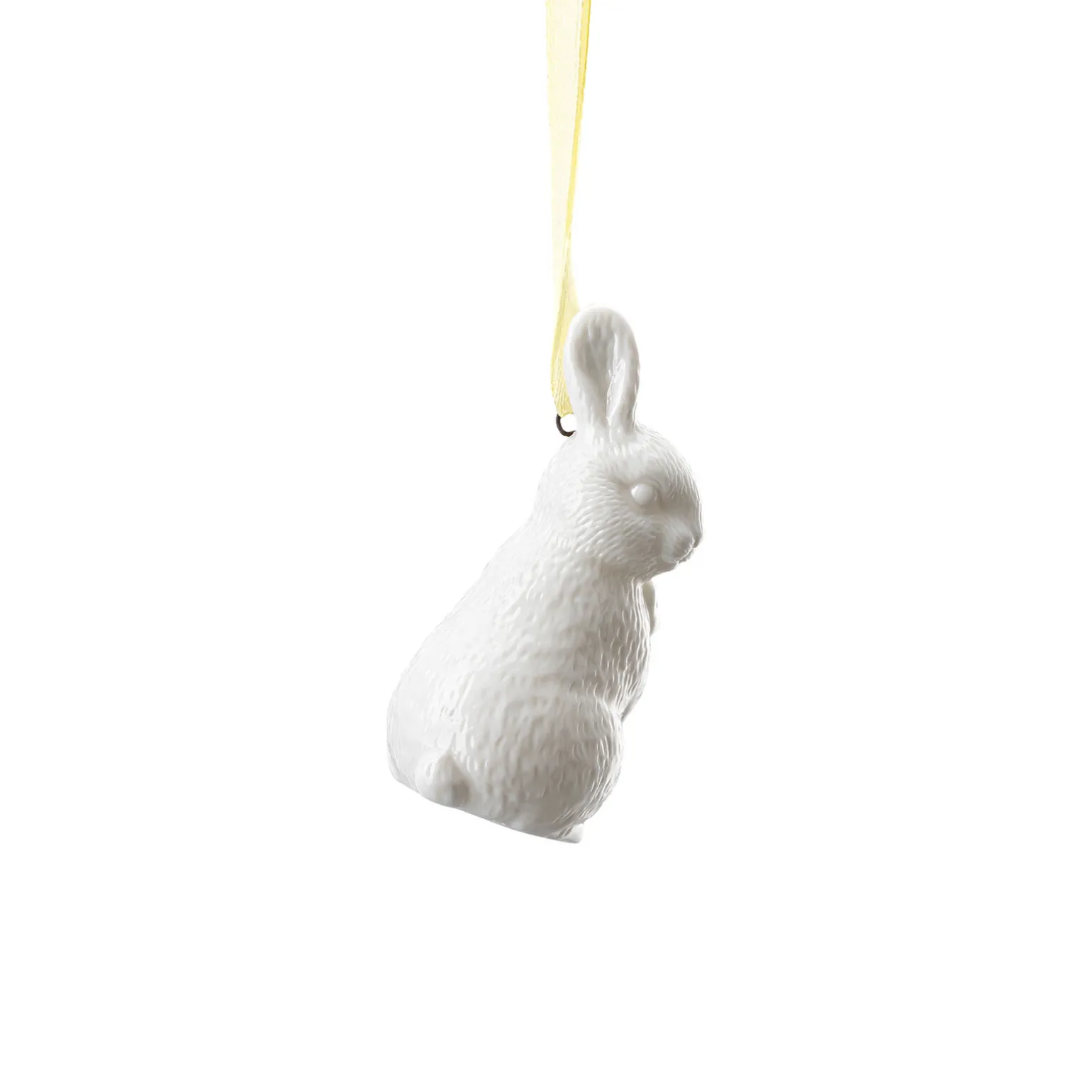 Hare standing