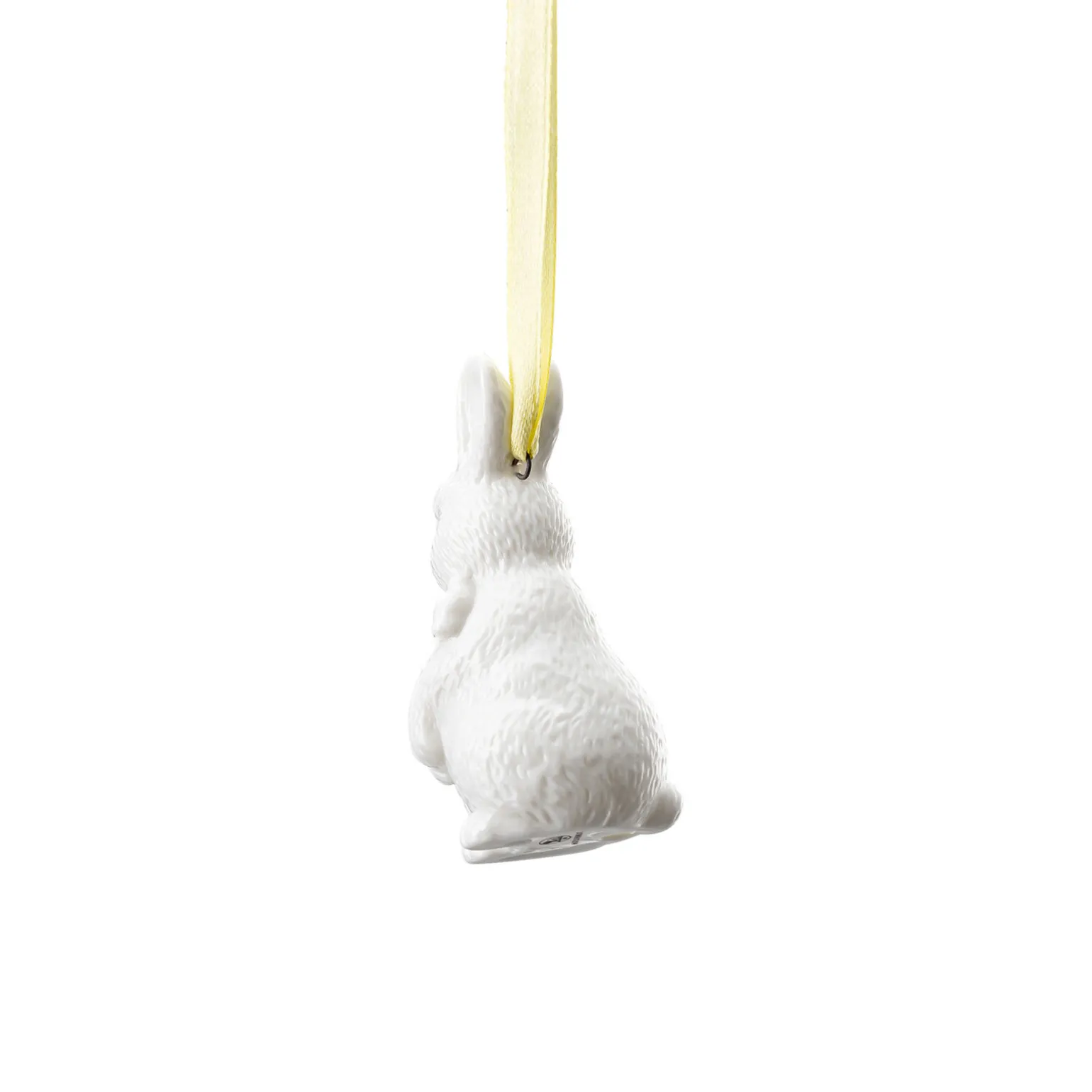 Hare standing