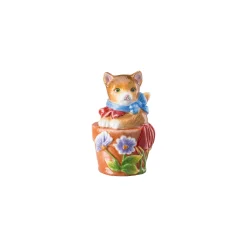 Kitten small