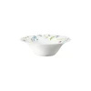 Multi-functional bowl