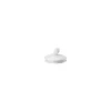 Teapot 4 lid